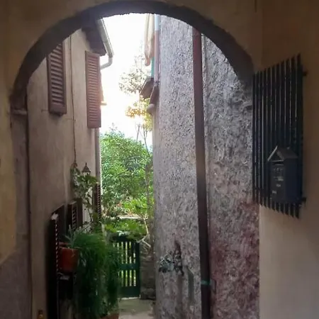 Pavone