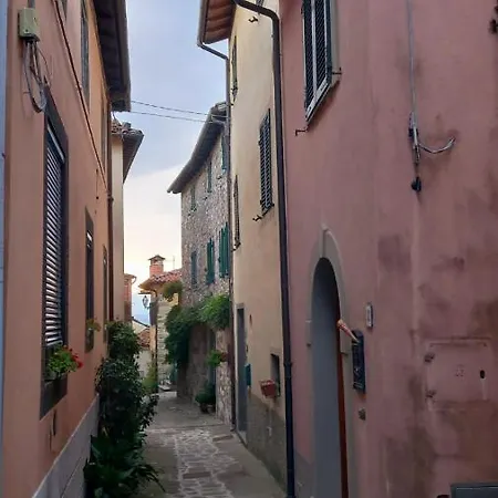 Pavone *